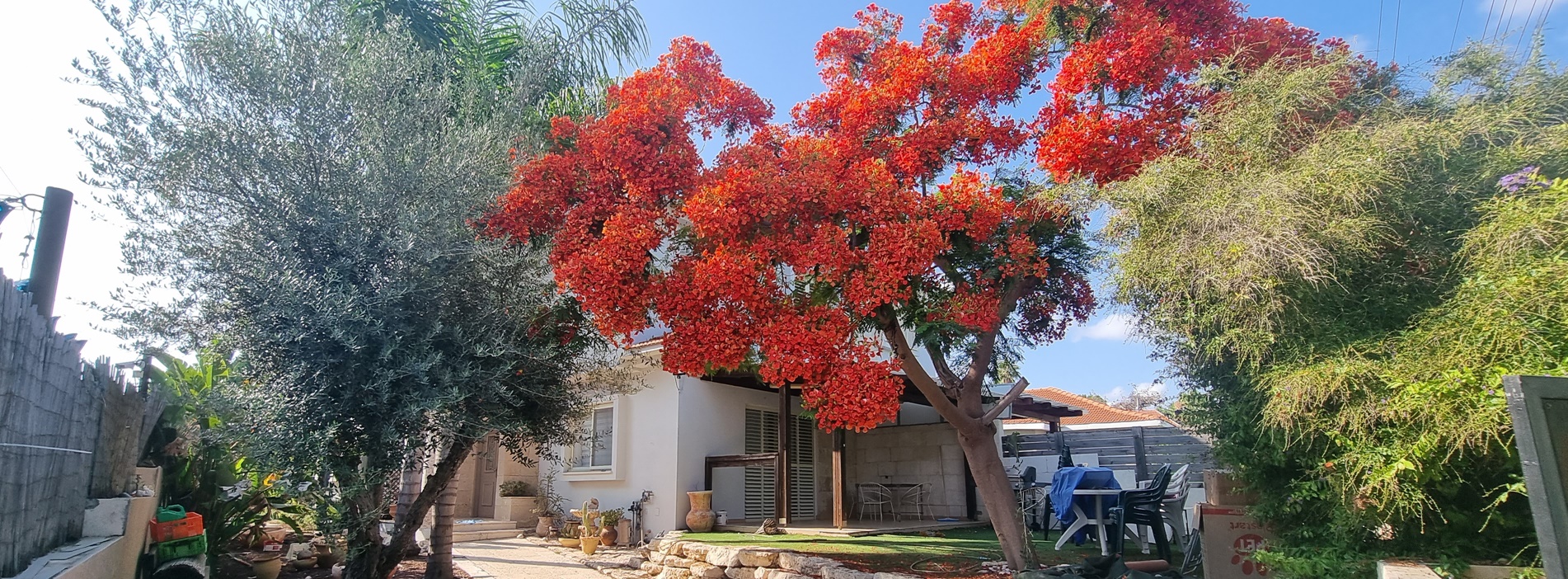 למכירה בית 6 חדרים בגן יבנה