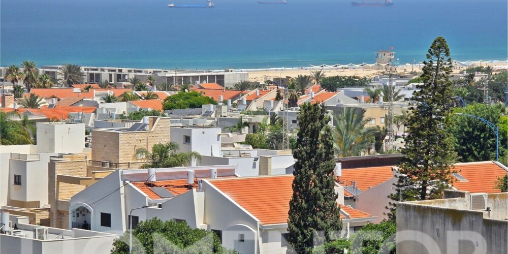 עיצוב ללא שם (3)